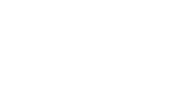스피드 토토 logo
